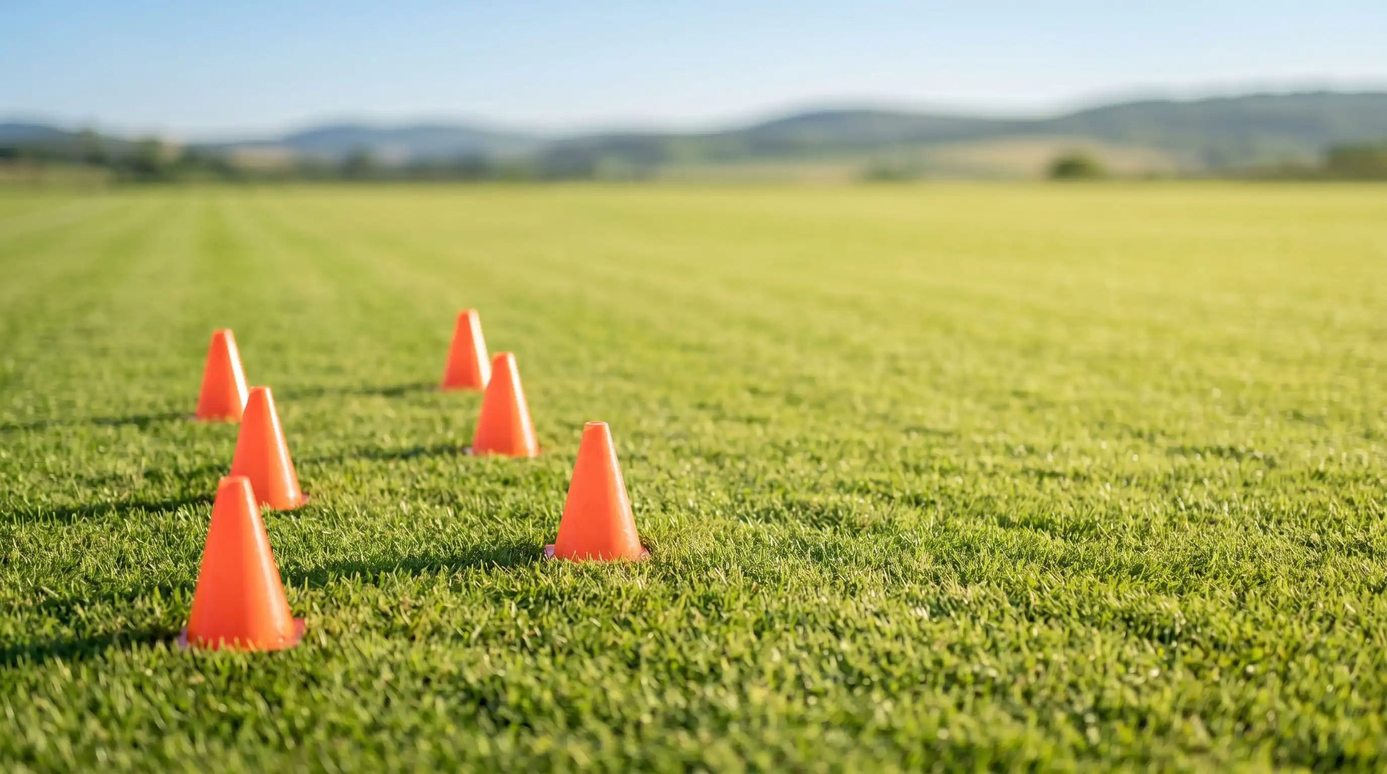 How Professional Football Fields Improve Player Safety And Performance
