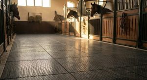 best horse stable flooring in UAE